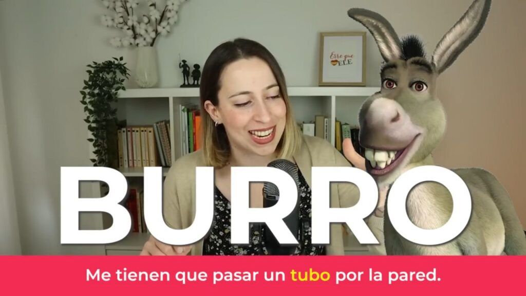 Palabras españolas que suenan igual pero se escriben diferente